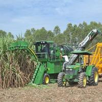 Thị trường - Tiêu dùng - Giá đường Việt Nam cao nhất thế giới