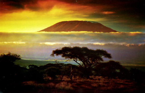Khám phá thiên đường hoang dã Kenya - 1