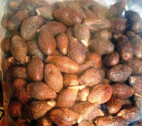 Khánh Hòa: Chặt cây ươi lấy quả, 1 người tử vong - 1