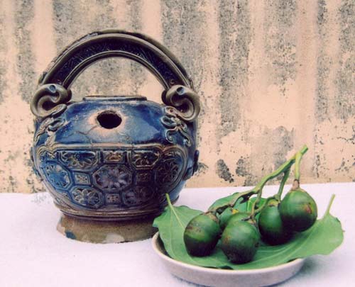 Bộ sưu tập 'Ông bình vôi' tiền tỷ ở đất Tây Đô - 5