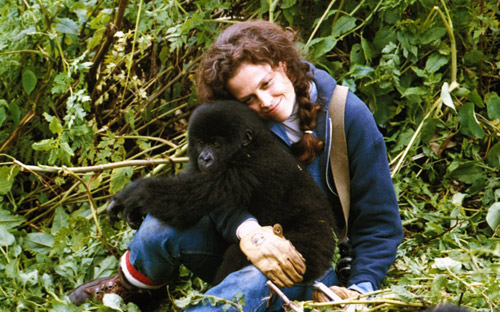 15 tác phẩm về khỉ không thể bỏ qua - 2