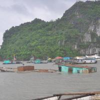 Quảng Ninh: Tàu chìm, cây đổ ngổn ngang vì bão Thần Sấm