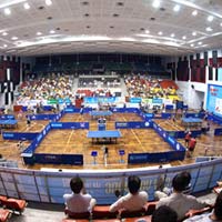 Thể thao - Giải Bóng bàn quốc tế Cây Vợt Vàng 2014: Việt Nam A tranh chung kết