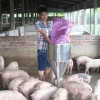 Tài chính - Bất động sản - Bỏ nghiệp thủy thủ về làm triệu phú nuôi lợn