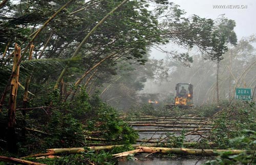 Ảnh: Siêu bão Thần Sấm tàn phá Trung Quốc - 2