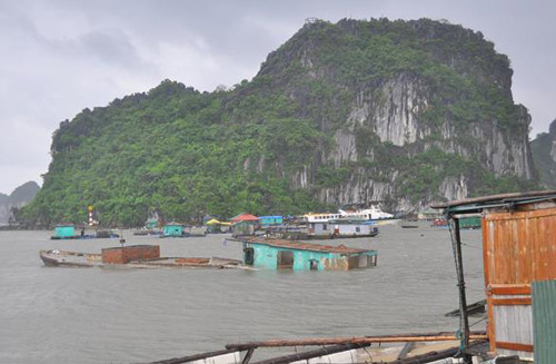 Quảng Ninh: Tàu chìm, cây đổ ngổn ngang vì bão Thần Sấm - 1