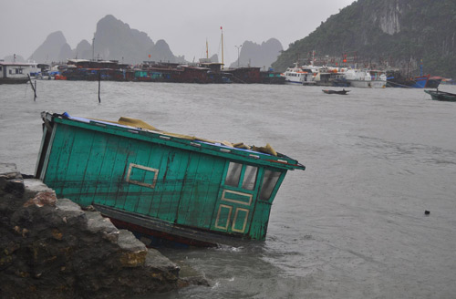 Quảng Ninh: Tàu chìm, cây đổ ngổn ngang vì bão Thần Sấm - 2