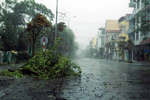 Quảng Ninh: Tàu chìm, cây đổ ngổn ngang vì bão Thần Sấm - 7