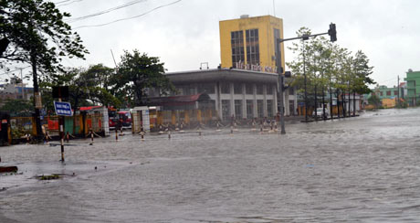 Quảng Ninh: Tàu chìm, cây đổ ngổn ngang vì bão Thần Sấm - 10