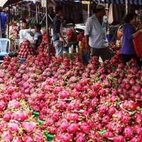 Thị trường - Tiêu dùng - Trái cây cuối mùa, hút hàng tăng giá nóng