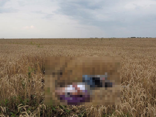 Những bức hình ám ảnh ở "nghĩa địa MH17" - 1