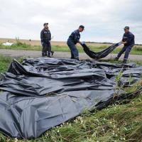 Vụ MH17: Mẹ nạn nhân cầu xin Nga trả lại thi thể con