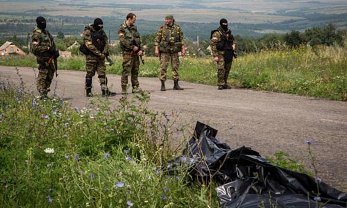 Vụ MH17: Mẹ nạn nhân cầu xin Nga trả lại thi thể con - 2