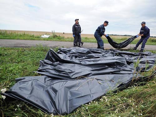 Vụ MH17: Mẹ nạn nhân cầu xin Nga trả lại thi thể con - 1