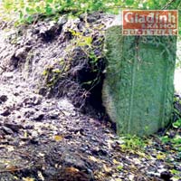 Tin tức trong ngày - Sự thật kho báu khổng lồ dưới nền cổ miếu ở Sóc Trăng