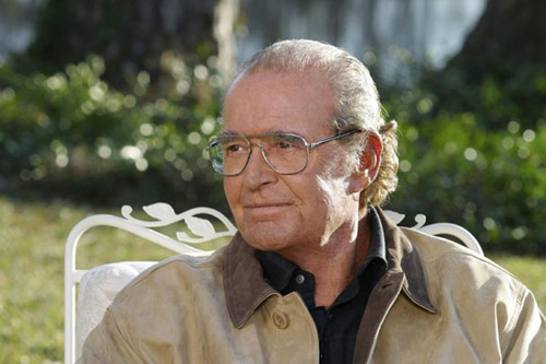 Tài tử "The Notebook” James Garner qua đời - 8