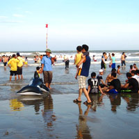 Tin tức trong ngày - Sầm Sơn: Khách không ăn uống, đuổi ra khỏi nhà nghỉ