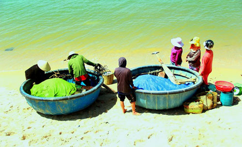 Nhộn nhịp làng chài vùng biển vắng - 8