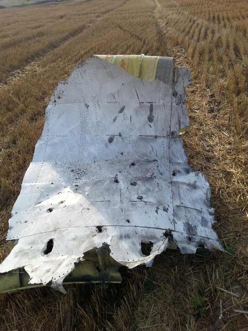 Ảnh: Máy bay MH17 thủng lỗ chỗ to như nắm tay - 1