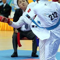 Thể thao - Đoạt 6 HCV, Karatedo Việt Nam xếp hạng 3 ở giải Thái Lan mở rộng