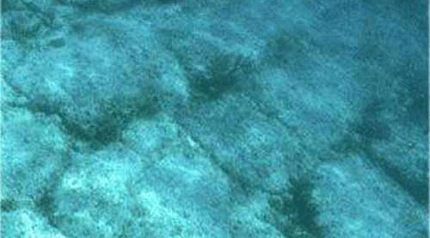 Bí ẩn những hòn đá biết đi ở Thung lũng chết - 5