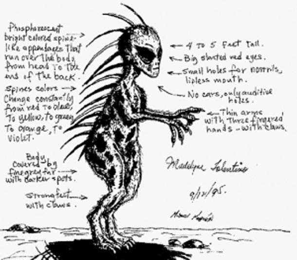 Bí ẩn những hòn đá biết đi ở Thung lũng chết - 4