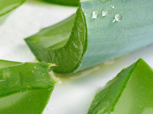 6 cách chữa lông mọc ngược - 2