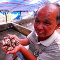 Tài chính - Bất động sản - Bí kíp kiếm tiền tỷ của ông "vua" ốc