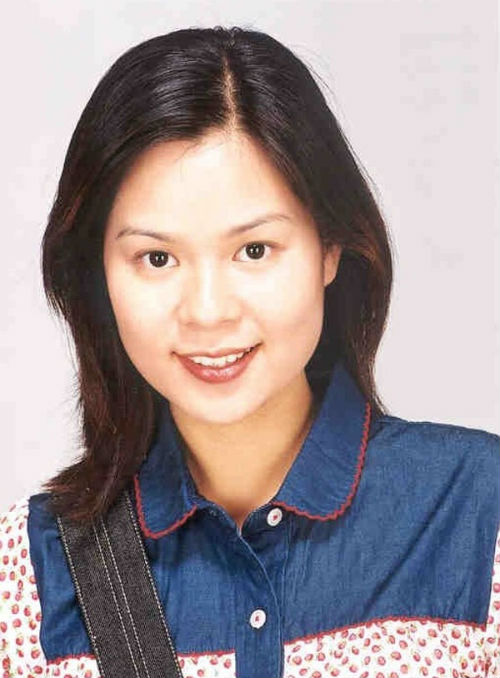 Người đẹp Hồng Kông nhảy lầu tự tử ở tuổi 43 - 7