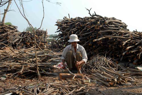 Nghề lạ ở Sài Gòn: Mót củi giữa lòng thành phố - 9