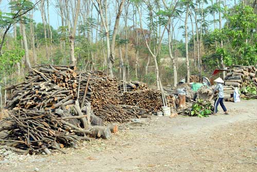 Nghề lạ ở Sài Gòn: Mót củi giữa lòng thành phố - 10