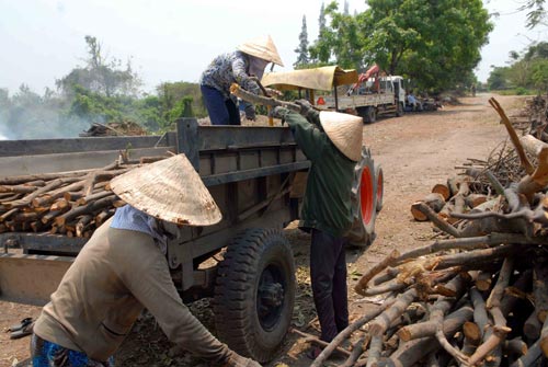 Nghề lạ ở Sài Gòn: Mót củi giữa lòng thành phố - 14
