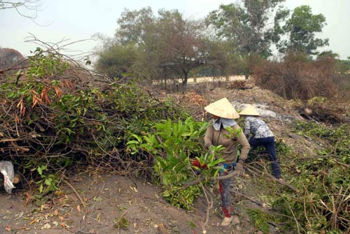 Nghề lạ ở Sài Gòn: Mót củi giữa lòng thành phố - 2