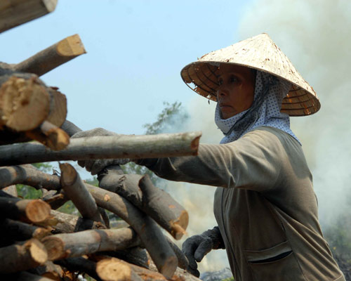 Nghề lạ ở Sài Gòn: Mót củi giữa lòng thành phố - 6