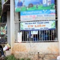 Thị trường - Tiêu dùng - Có gì bên trong cơ sở thu mua bông thanh long ?