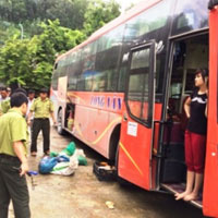 Tin tức trong ngày - Bắt xe khách chở 30 cá thể động vật hoang dã