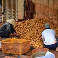 Thị trường - Tiêu dùng - Khó kiểm soát rau quả Trung Quốc