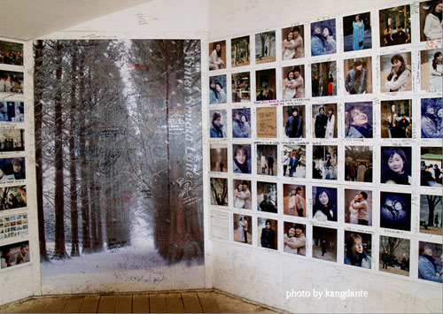 Đẹp tuyệt rừng cây trên “thánh địa” phim trường Hàn Quốc - 18