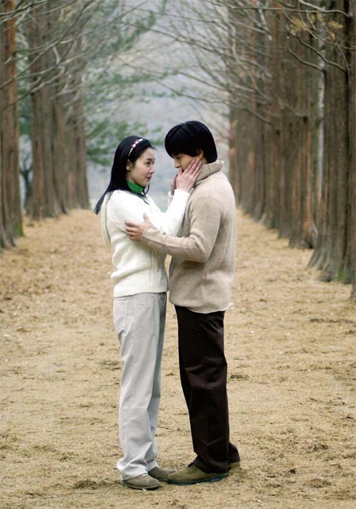 Đẹp tuyệt rừng cây trên “thánh địa” phim trường Hàn Quốc - 10