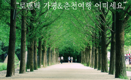 Đẹp tuyệt rừng cây trên “thánh địa” phim trường Hàn Quốc - 2