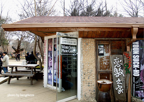 Đẹp tuyệt rừng cây trên “thánh địa” phim trường Hàn Quốc - 13