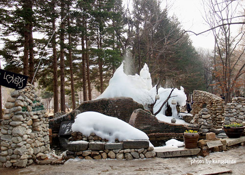 Đẹp tuyệt rừng cây trên “thánh địa” phim trường Hàn Quốc - 14