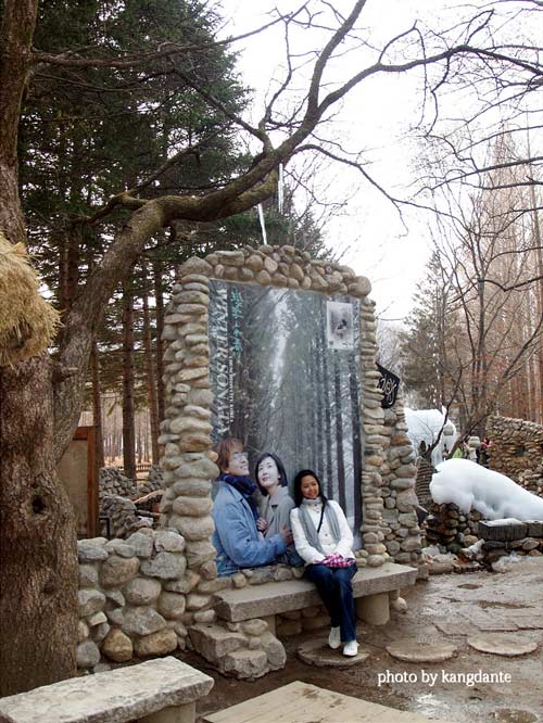 Đẹp tuyệt rừng cây trên “thánh địa” phim trường Hàn Quốc - 17