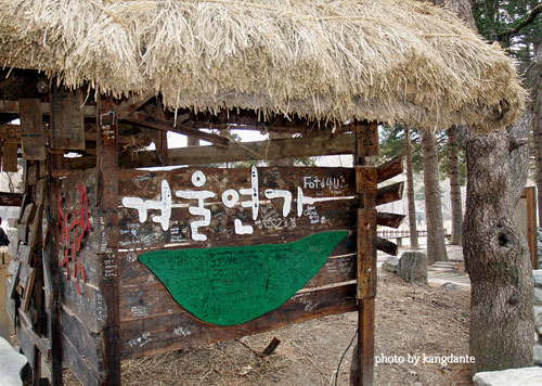 Đẹp tuyệt rừng cây trên “thánh địa” phim trường Hàn Quốc - 12