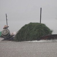 Tin tức trong ngày - Những mảnh đời lênh đênh mùa lũ sớm