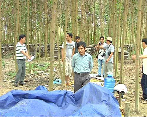 Quảng Ngãi: Nông dân phá tan hoang trại ong - 4