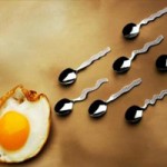 Quả trứng tâm sự với đám tinh binh