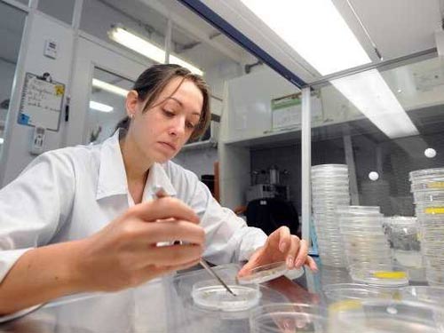 Những công việc lương cao mà không bị áp lực - 4