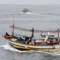 Tin tức trong ngày - Tìm thấy thi thể ngư dân mất tích trên biển