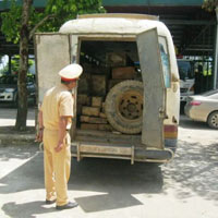 Tin tức trong ngày - Chở gỗ lậu bị bắt, tài xế bỏ xe chạy thoát thân